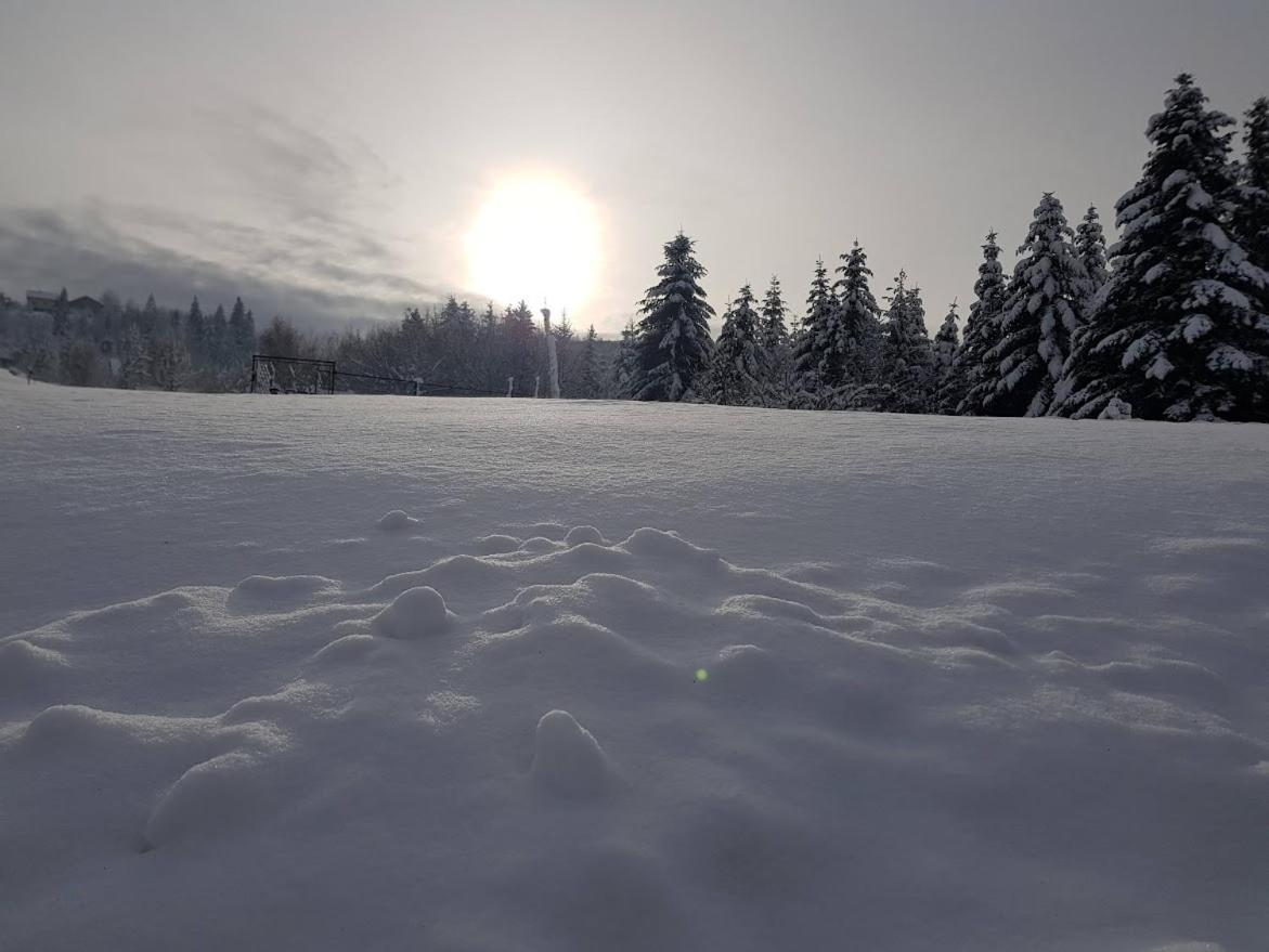 Agroturystyka Koronkowe Zacisze Конякув Екстер'єр фото